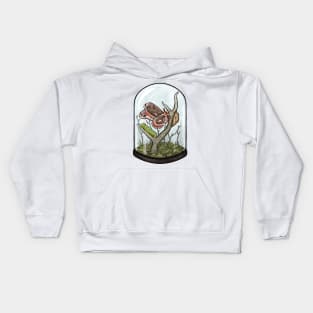 Cecropia Moth Terrarium Kids Hoodie